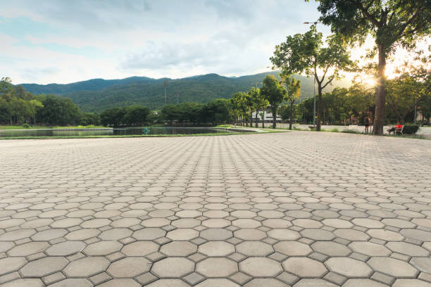 Best Permeable Paver Driveway  in West Pelzer, SC