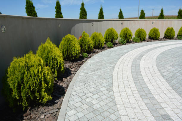 Best Driveway Paving Contractor  in West Pelzer, SC