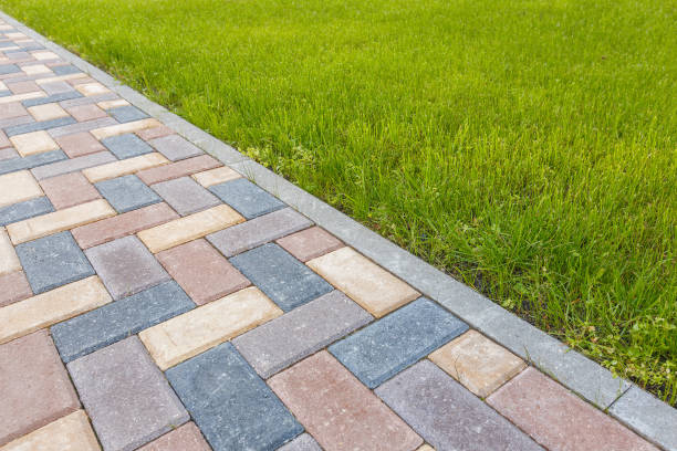 Best Professional Driveway Pavers  in West Pelzer, SC